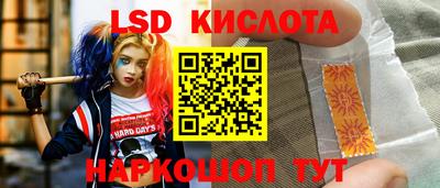 прущие грибы Краснодар