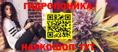 прущие грибы Краснодар