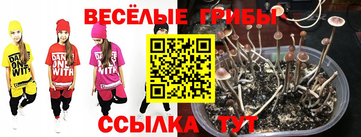 Псилоцибиновые грибы ЛСД  Вход с VPN  Касимов 