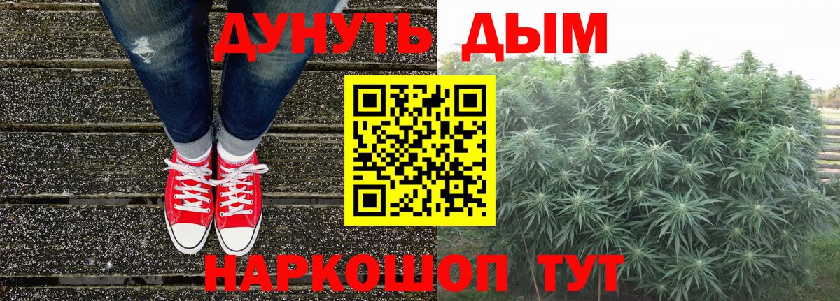 Бошки марихуана тримм  Вход с VPN  Касимов  Шишки марихуана сатива 